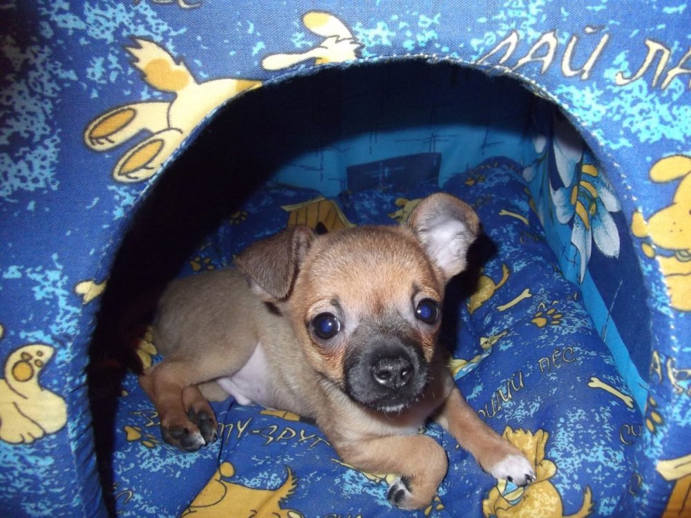 новый дом 20.12.2013.JPG