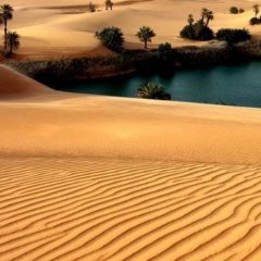 Sahara