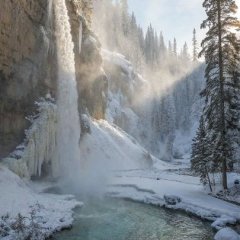 Диана Левченко